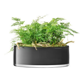 Herb Planters