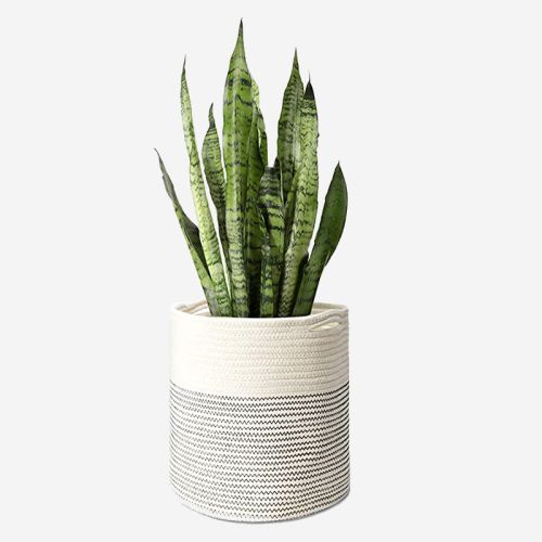 Cotton Rope Plant Basket